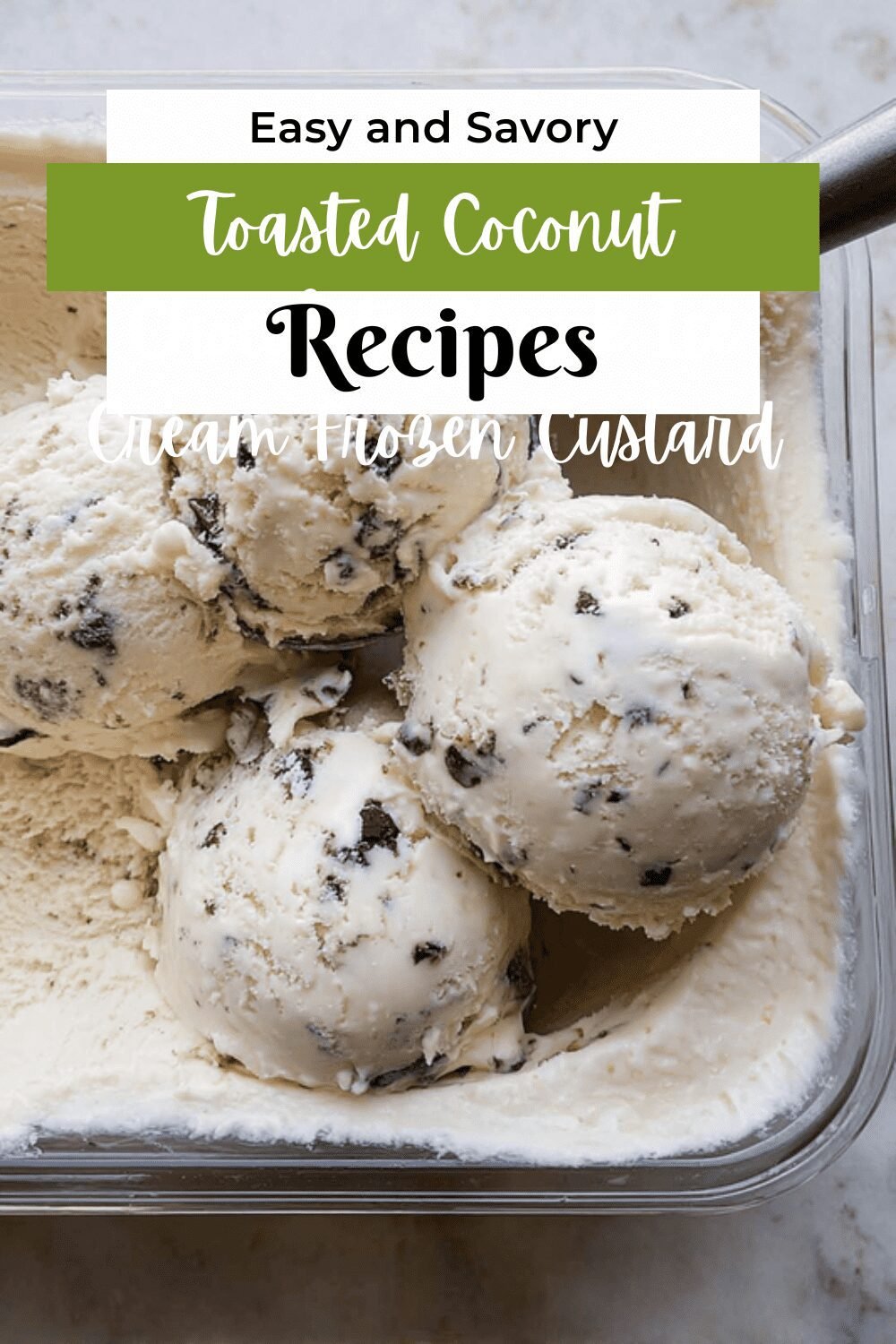 Toasted Coconut Chocolate Chunk Ice Cream Frozen Custard