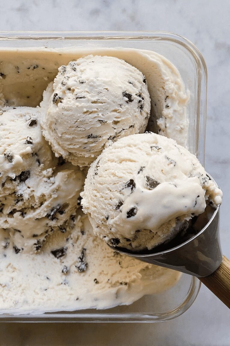 Toasted Coconut Chocolate Chunk Ice Cream Frozen Custard 57.Png