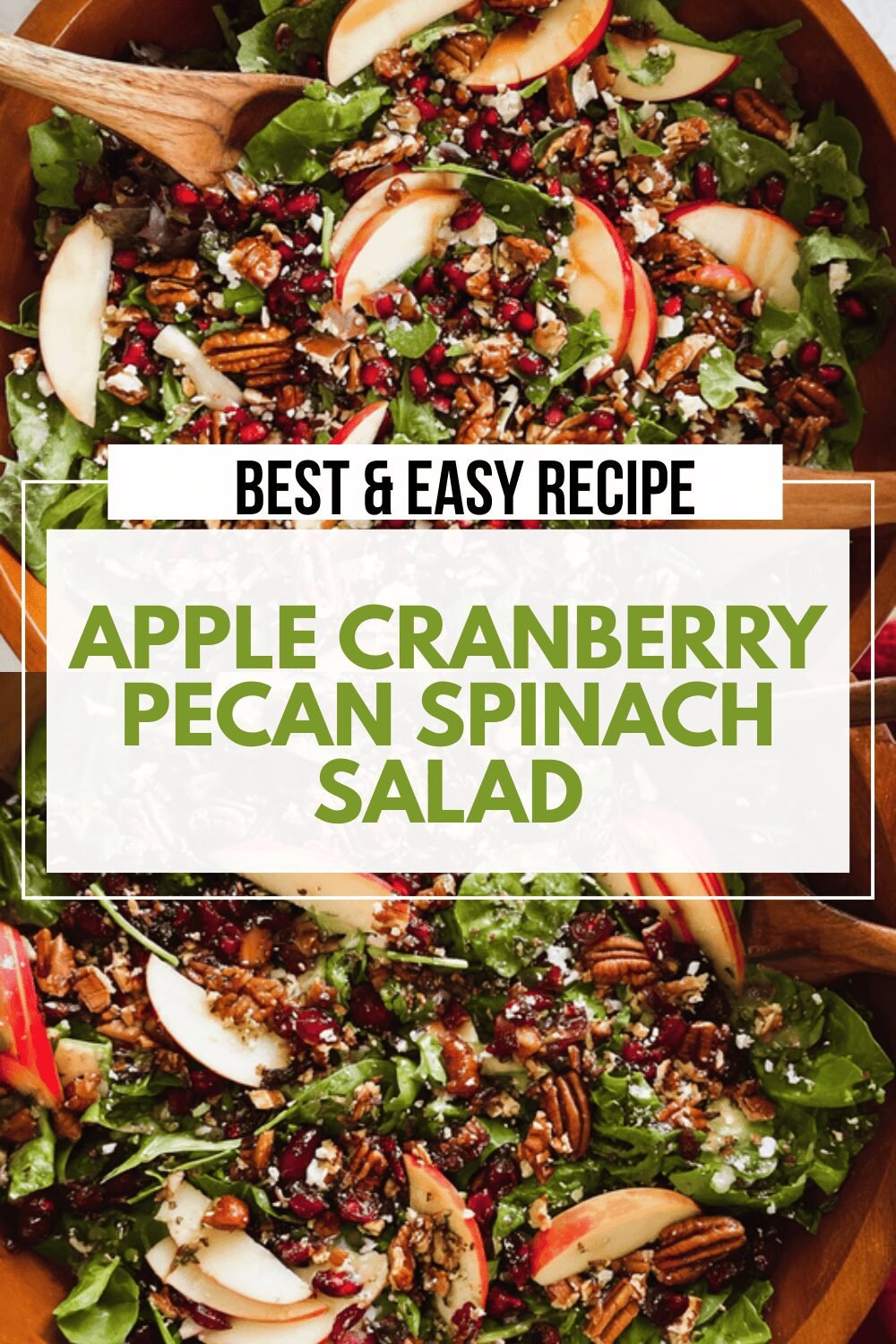 Apple Cranberry Pecan Spinach Salad