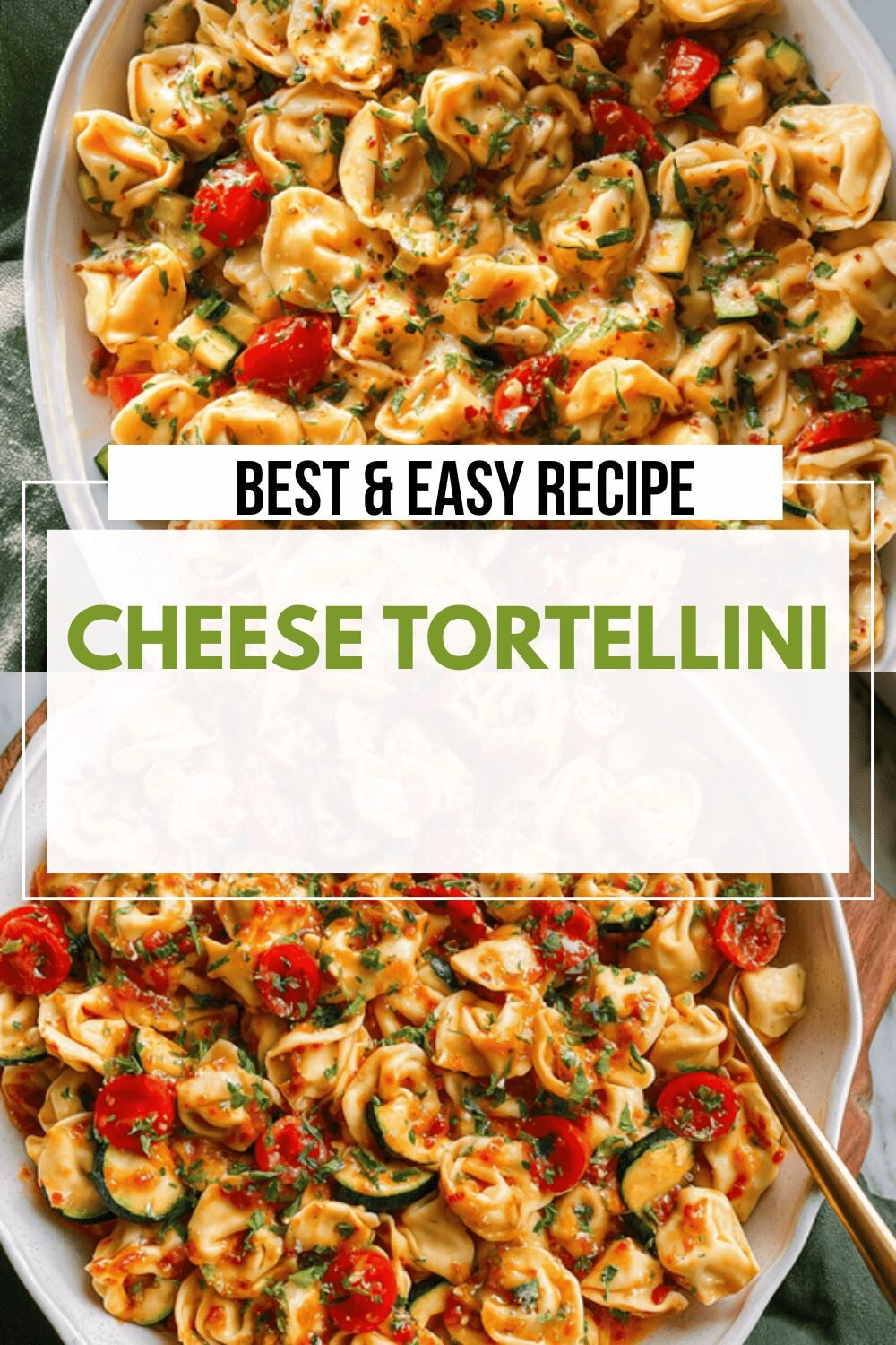 Cheese Tortellini In Creamy Garlic Butter Sauce Recipe 6 Cheese Tortellini