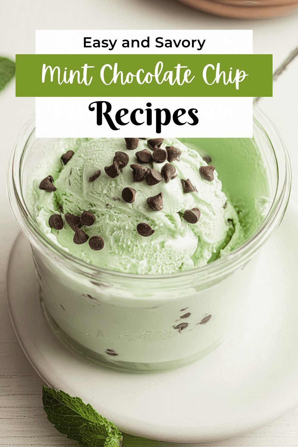 Mint Chocolate Chip Protein Ice Cream