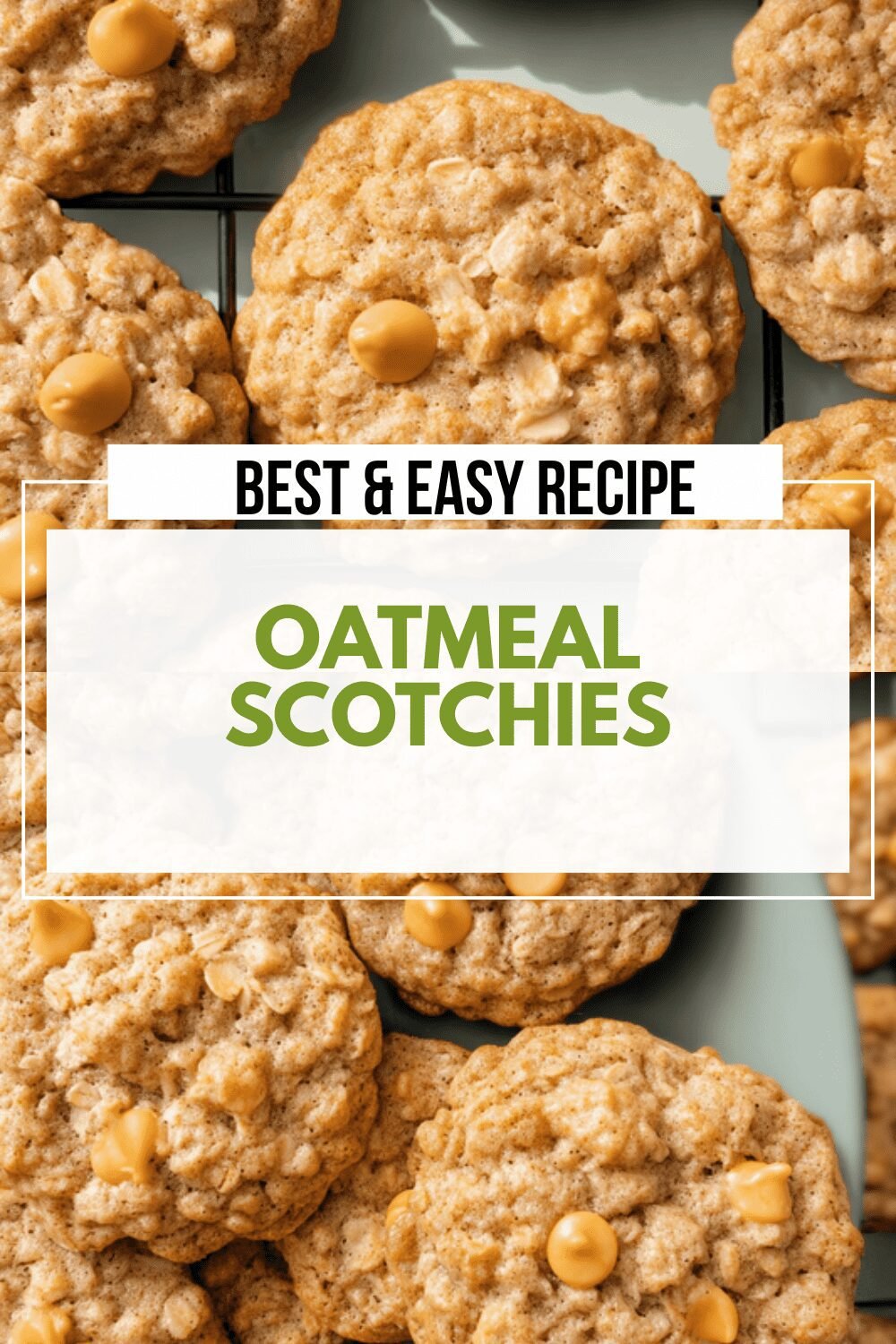 Oatmeal Scotchies Recipe With Chewy Oats And Sweet Chocolate Chips 6 Oatmeal Scotchies