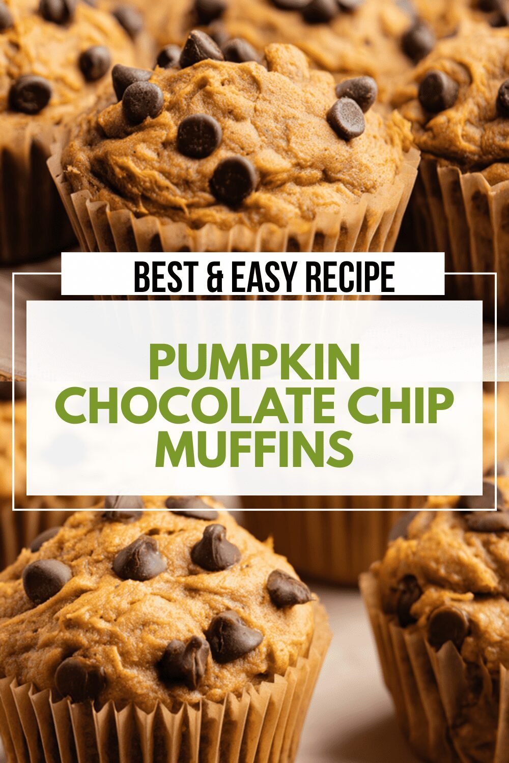 Pumpkin Chocolate Chip Muffins