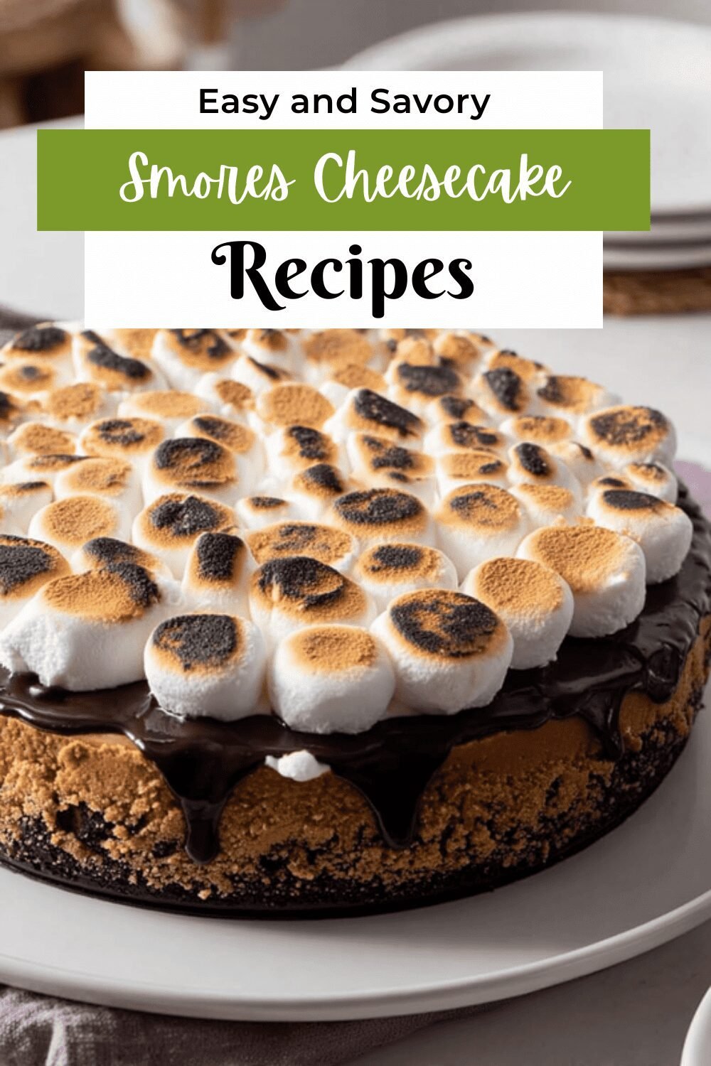 S'Mores Cheesecake Recipe With Gooey Marshmallows And Chocolate Layers 7 Smores Cheesecake