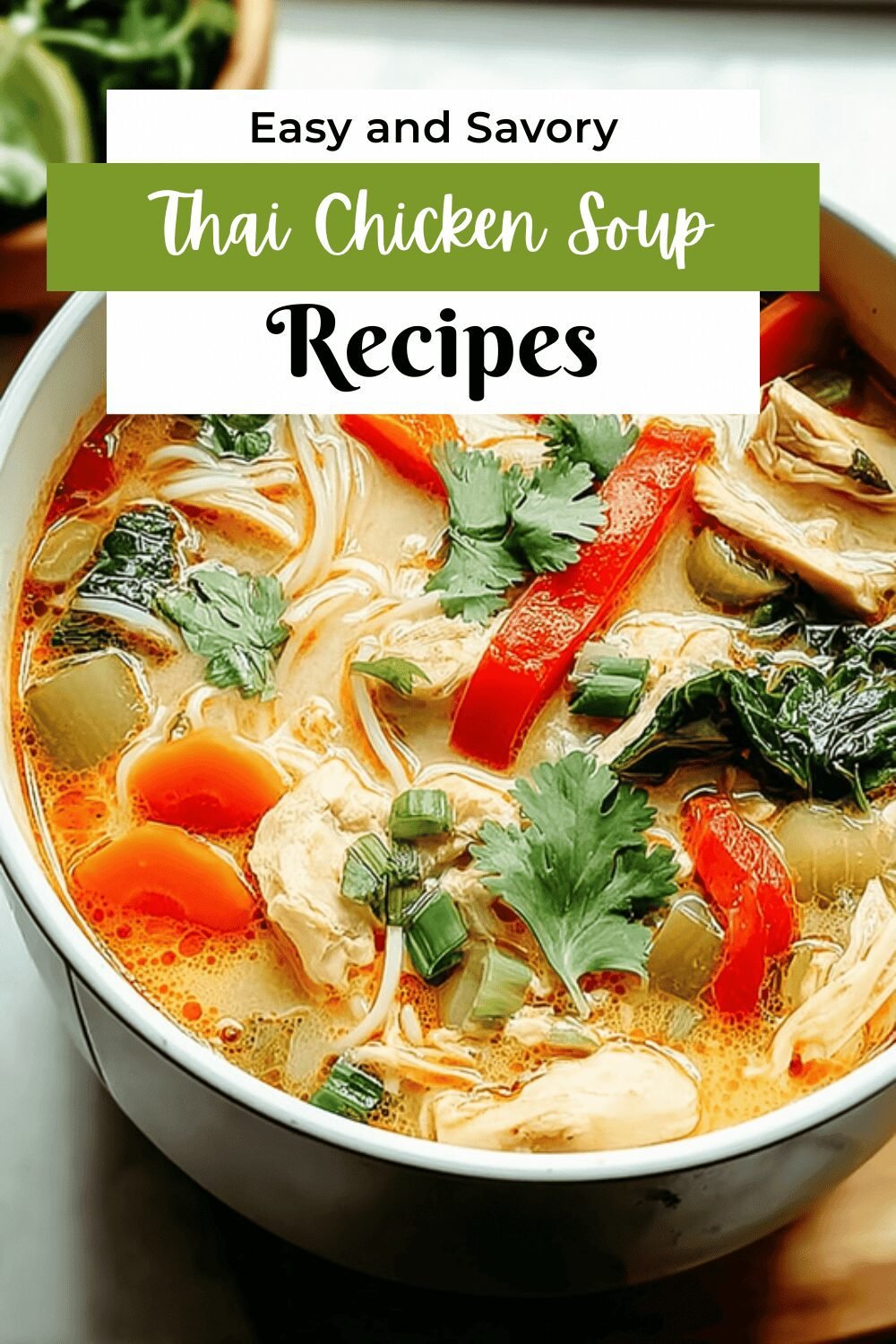 Thai Chicken Soup