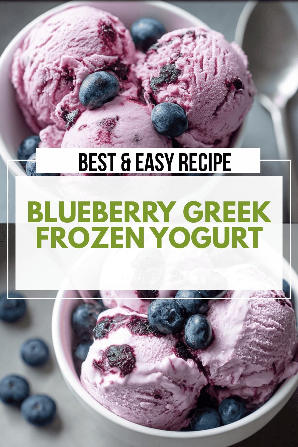 Blueberry Greek Frozen Yogurt
