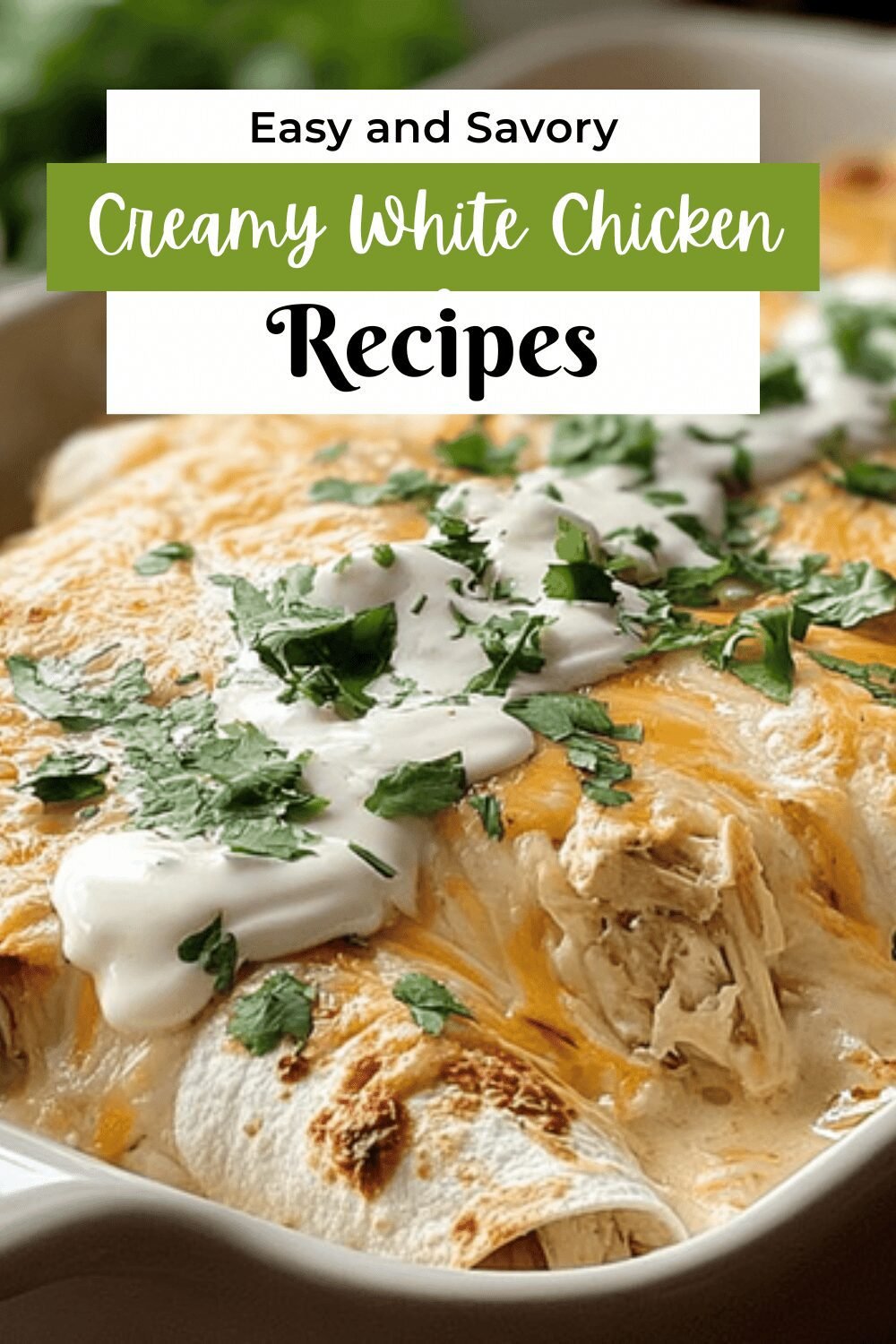Creamy White Chicken Enchiladas