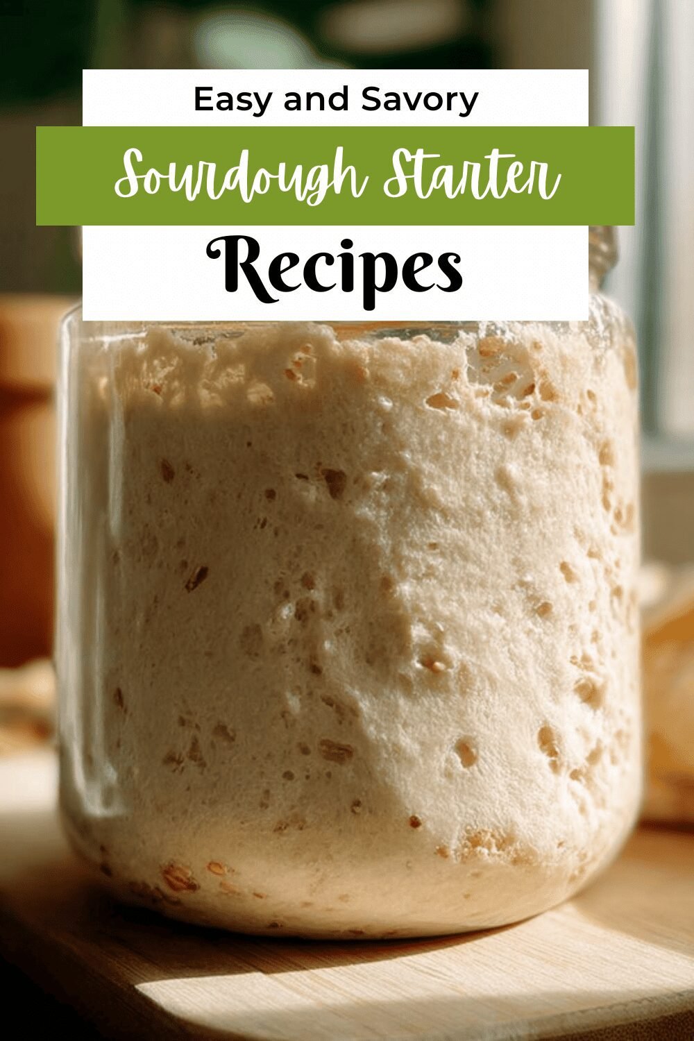 Sourdough Starter