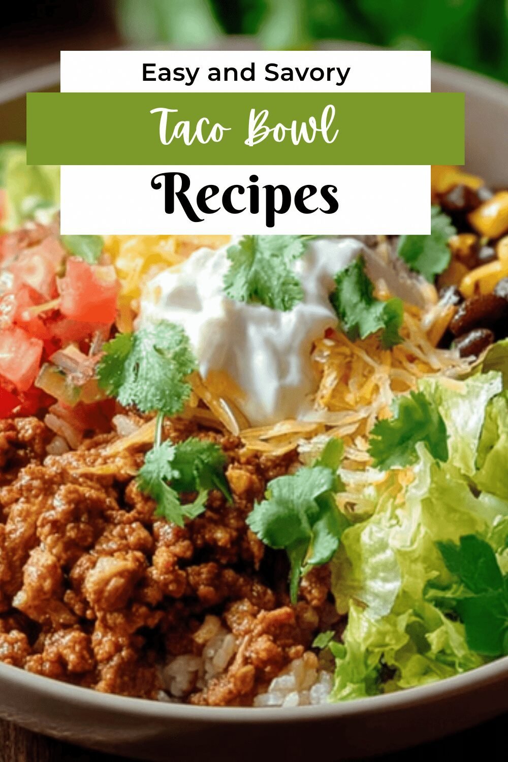 Taco Bowl