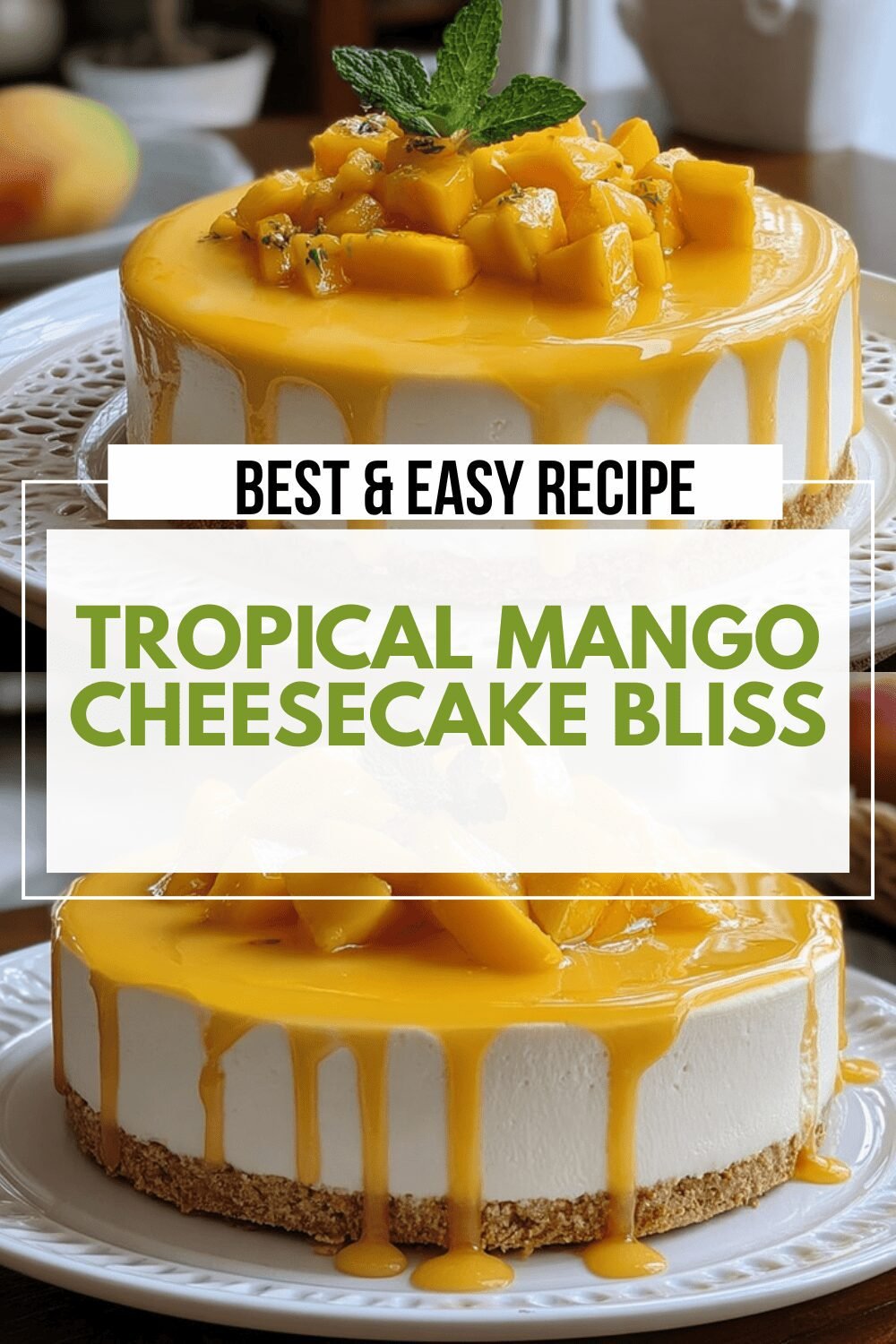 Tropical Mango Cheesecake Bliss