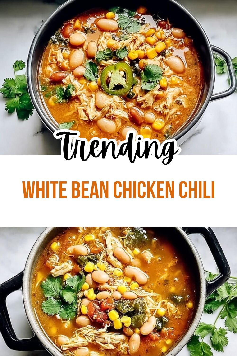 White Bean Chicken Chili