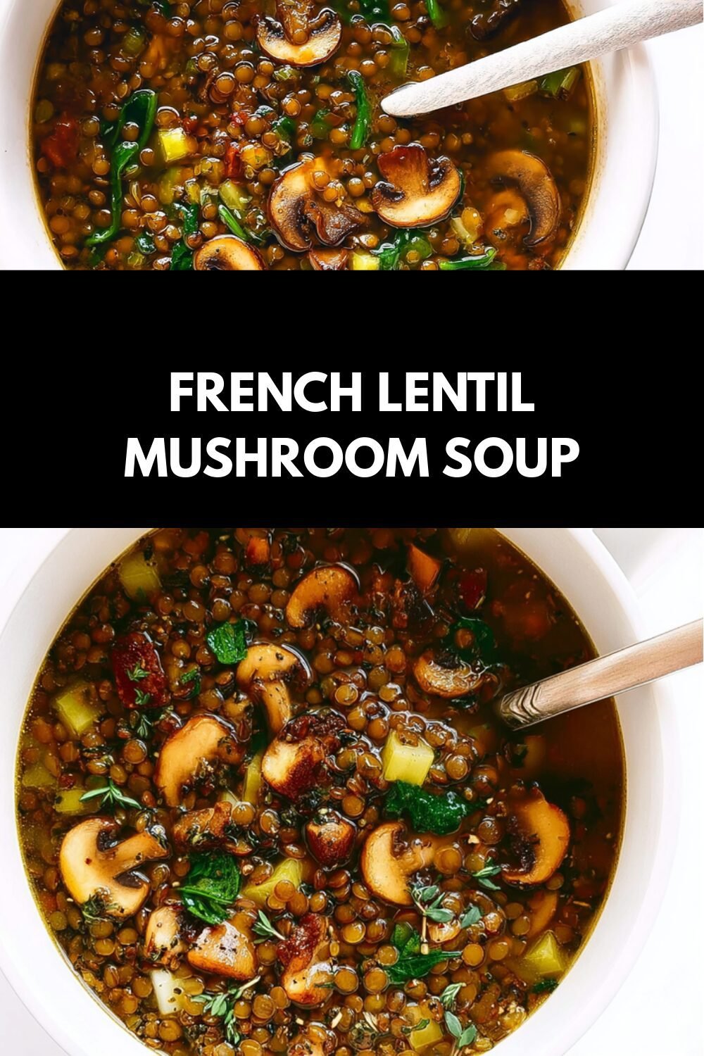 French Lentil Mushroom Soup