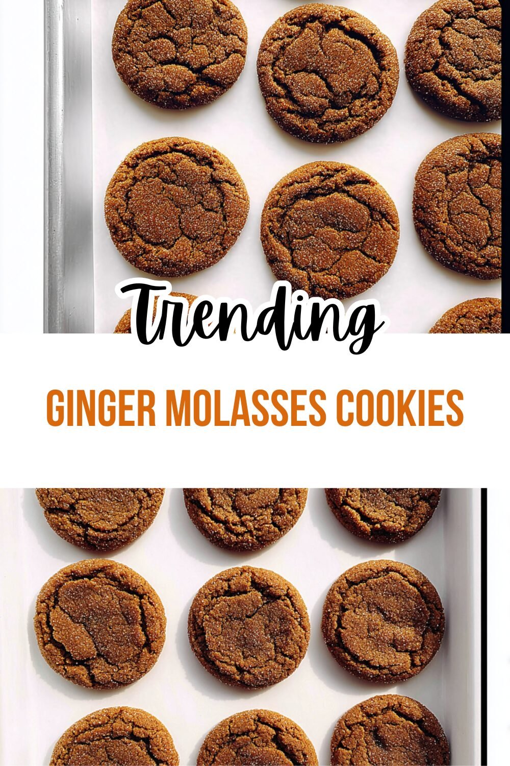 Ginger Molasses Cookies