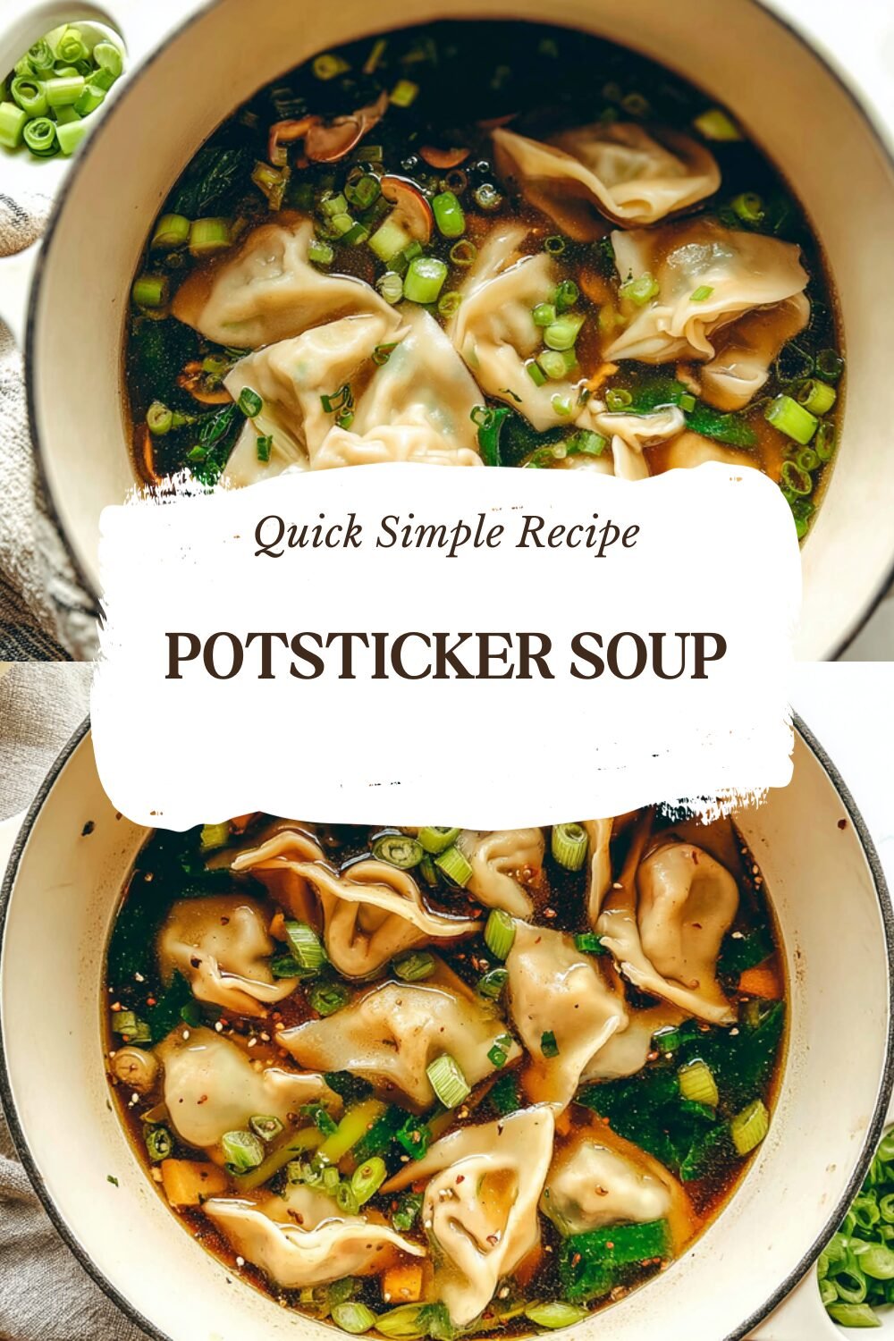 Potsticker Soup