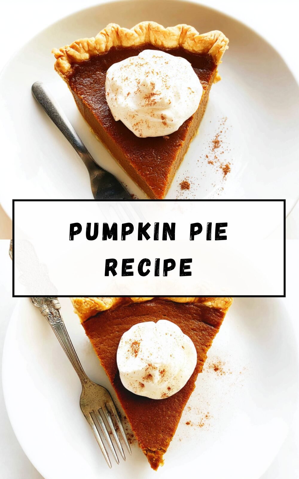 Pumpkin Pie Recipe
