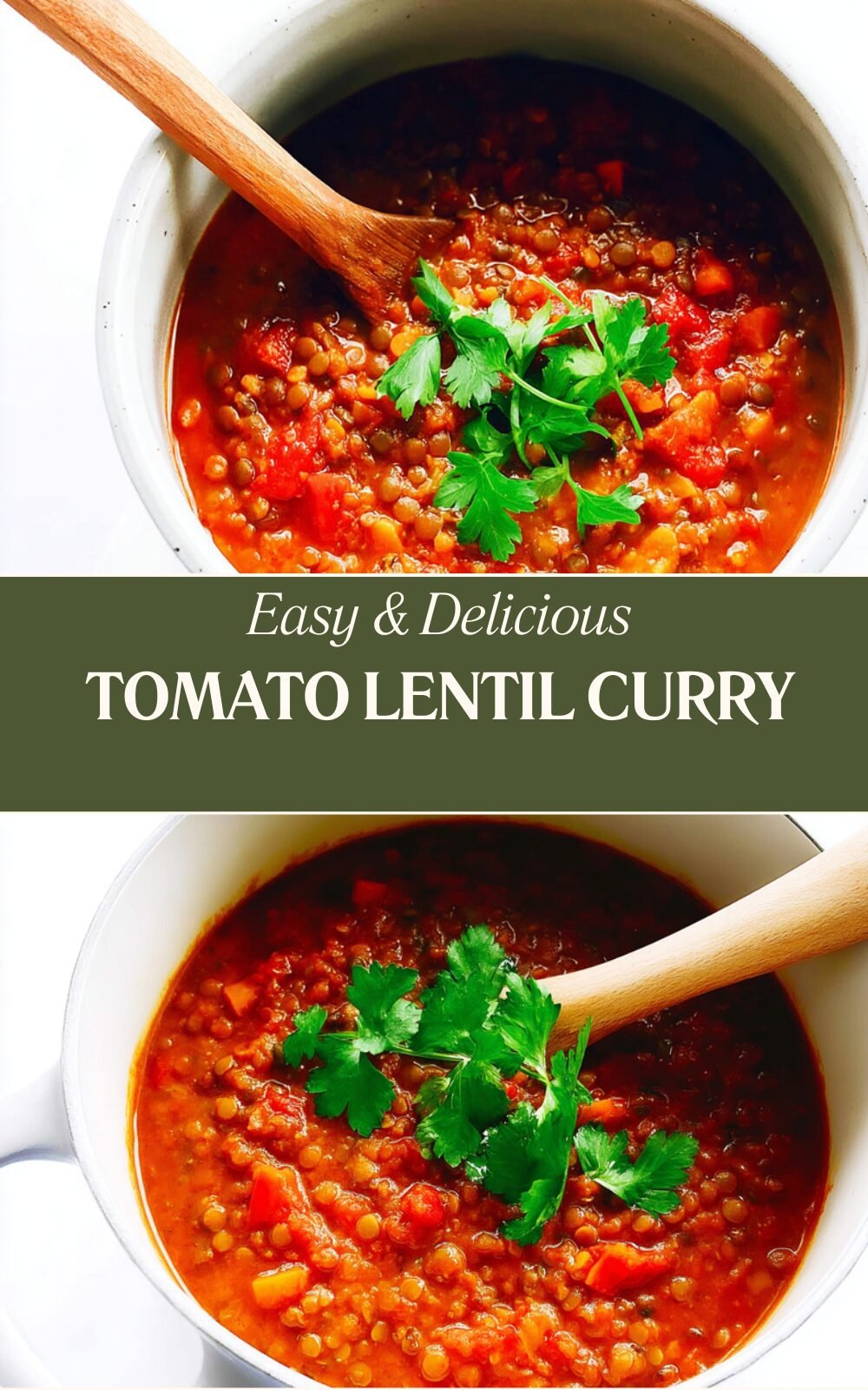 Tomato Lentil Curry Recipe With Rich Spices And Simple Ingredients 7 Tomato Lentil Curry