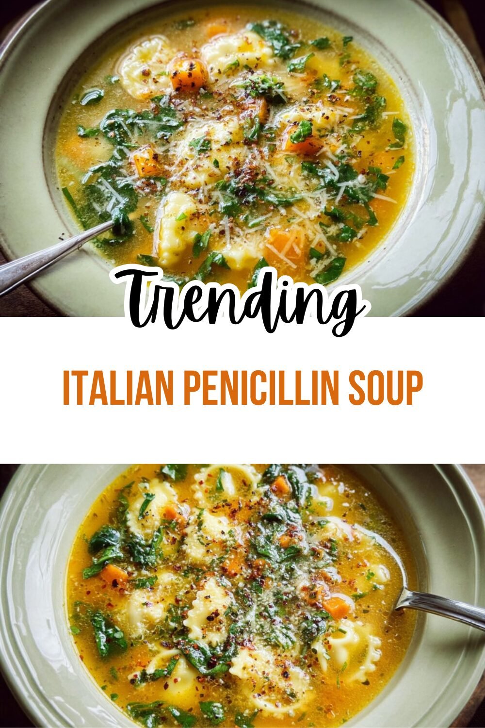 Italian Penicillin Soup