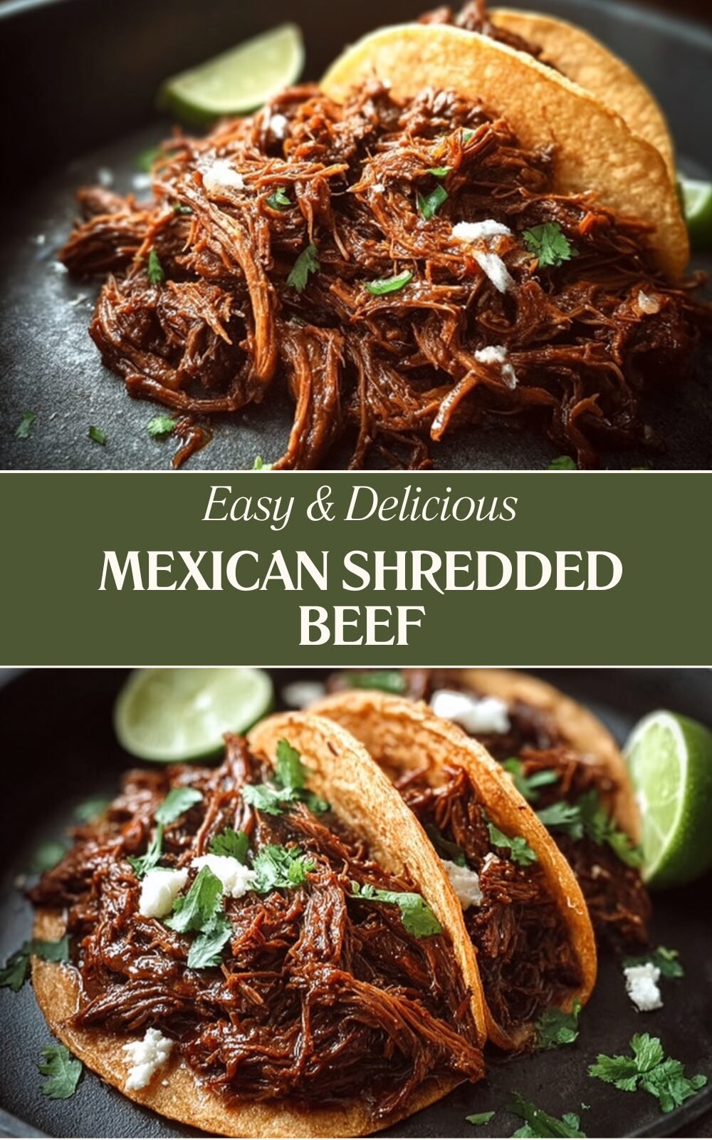 Mexican Shredded Beef
