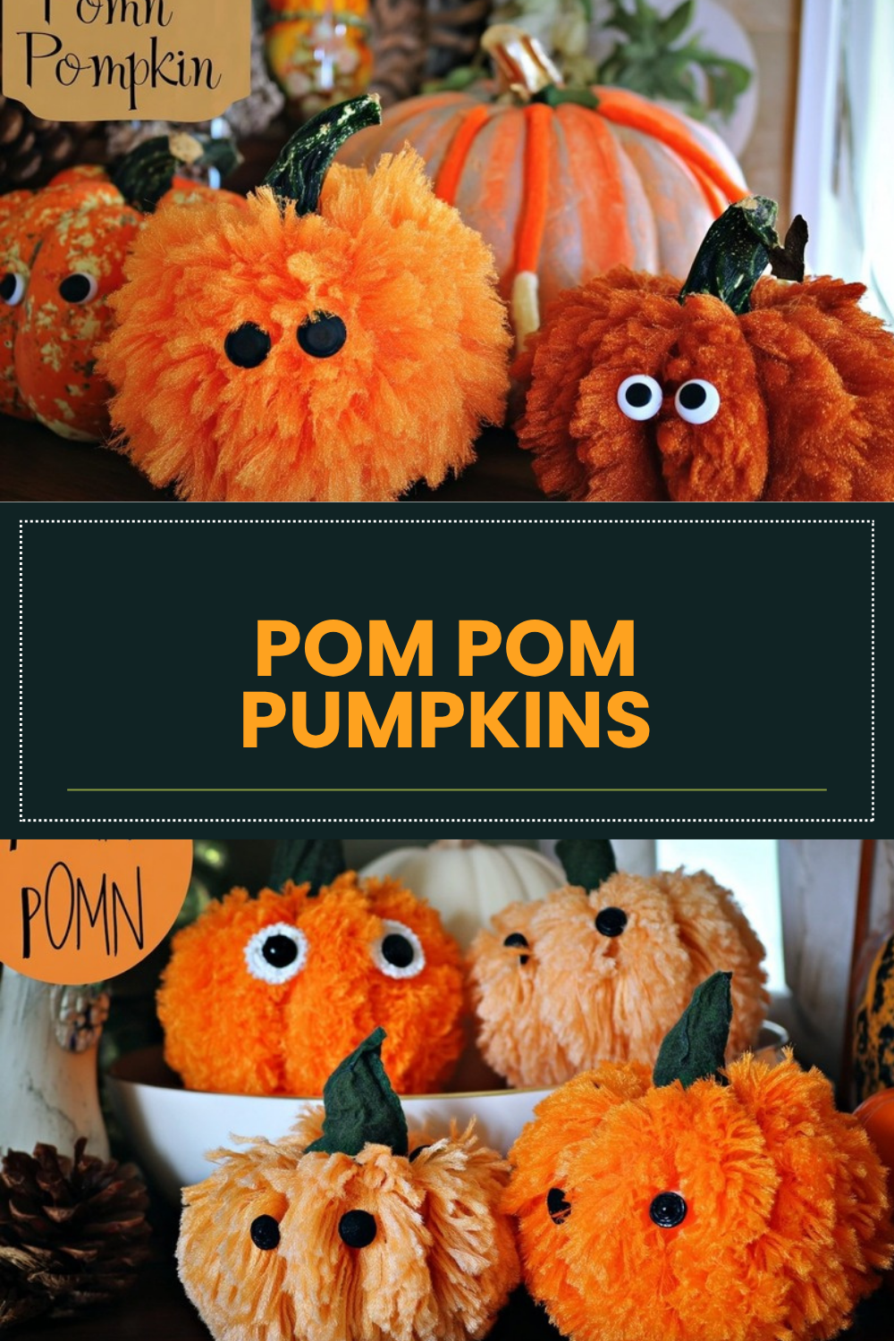 Pom Pom Pumpkins