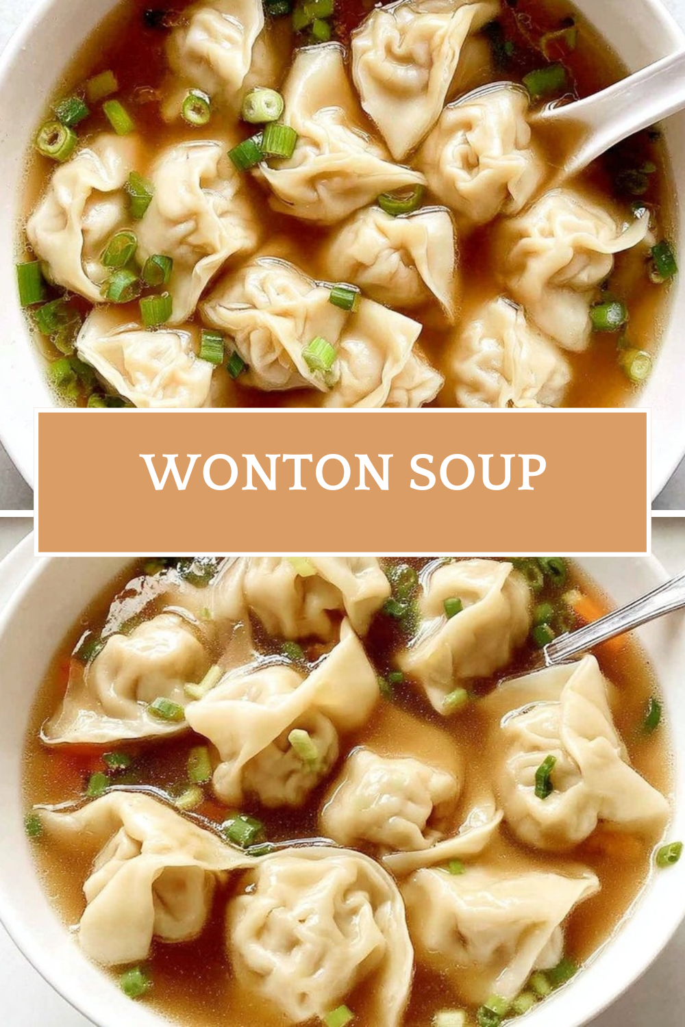 Wonton Soup