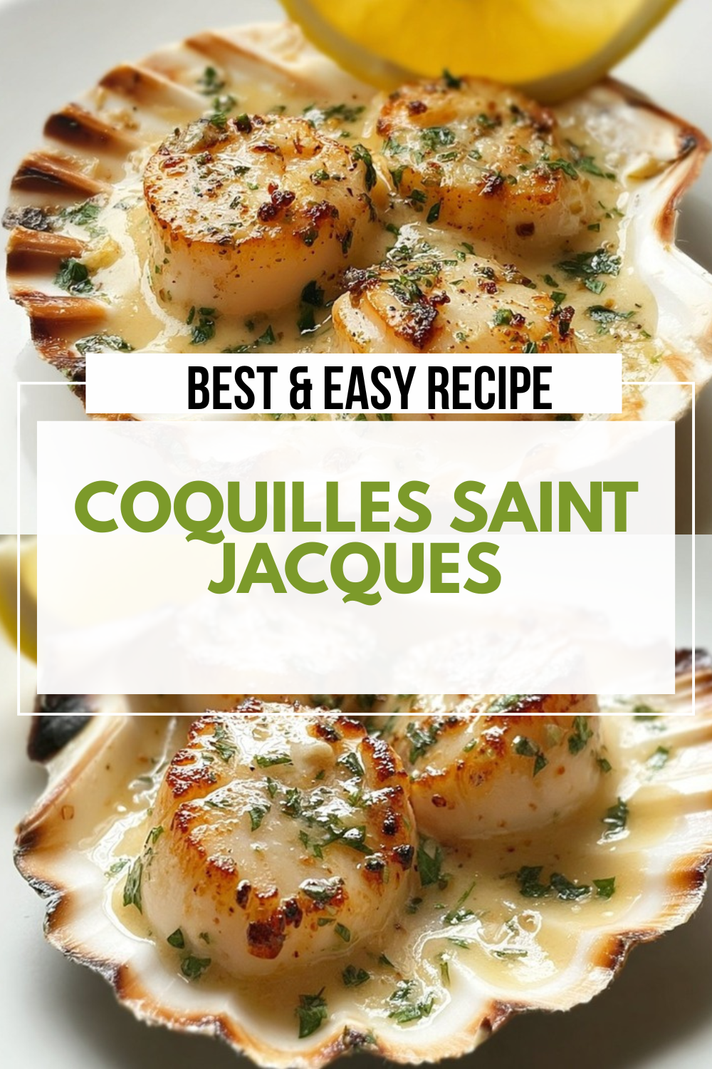 Coquilles Saint-Jacques Recipe: Classic French Scallop Delight 7 Coquilles Saint Jacques