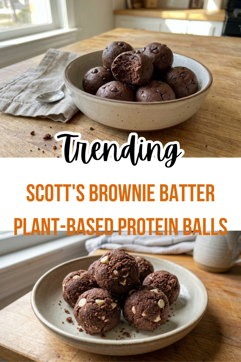 Scott'S Brownie Batter Plant-Based Protein Balls