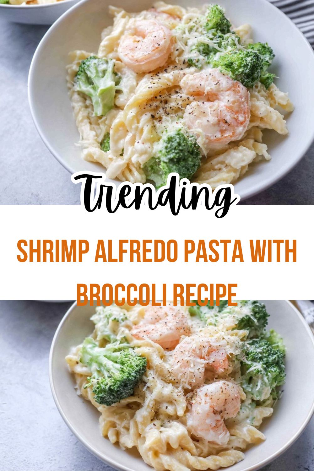 Broccoli Shrimp Alfredo Recipe 7 Shrimp Alfredo Pasta With Broccoli Recipe